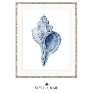 Indigo Exquisite Shell No 3