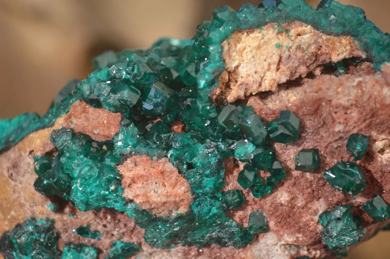 Natural Extra Large Emerald Dioptase Crystal Specimen x 1 From Likasi, Congo