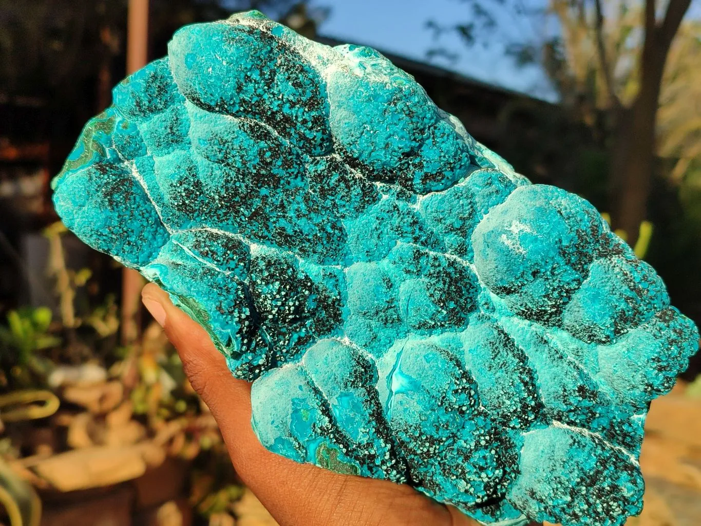 Natural Gorgeous Malacholla Specimen  x 1 From Congo