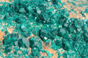 Natural Huge Dioptase Specimen Classic Emerald Green Crystals On Dolomite Matrix Museum Piece x 1 From Tantara Kambove, Congo