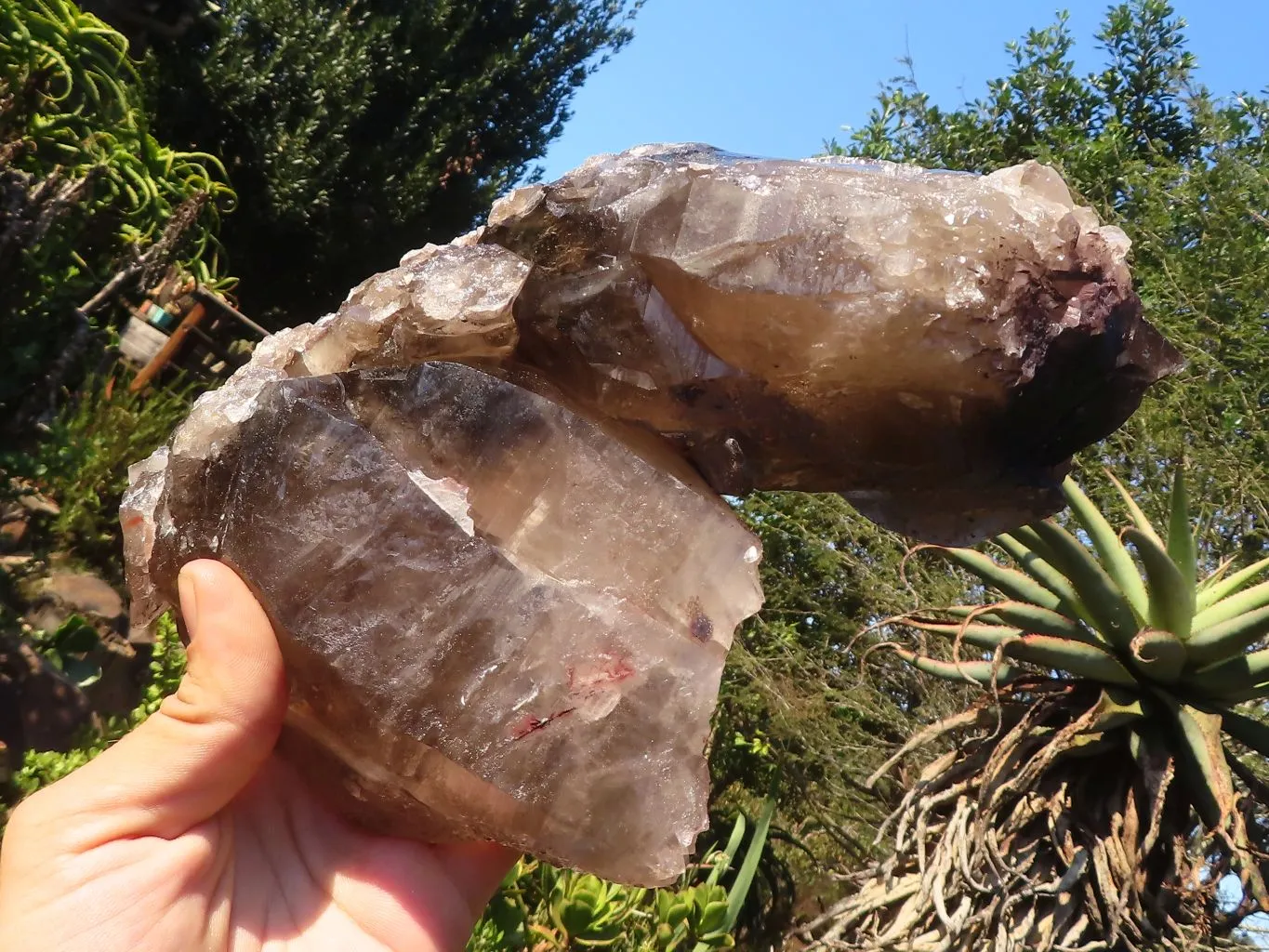 Natural Large Smokey Quartz Cluster x 1 From Mulanje, Malawi