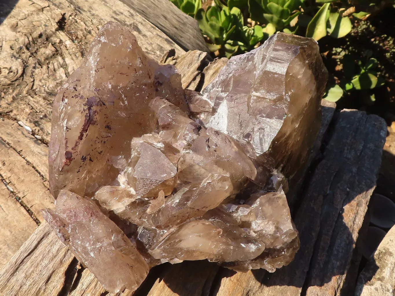 Natural Large Smokey Quartz Cluster x 1 From Mulanje, Malawi