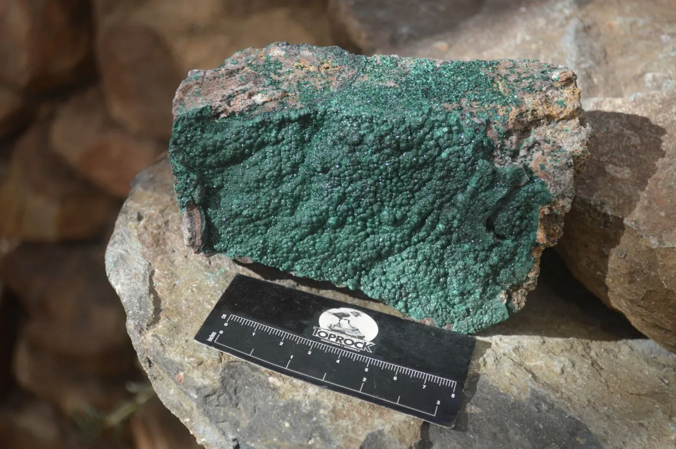 Natural Micro Botryoidal Crystalline Malachite Specimen x 1 From Congo
