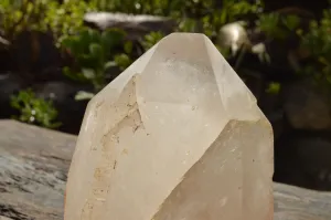 Polished Large Quartz Crystal With One Natural Side x 1 From Madagascar
